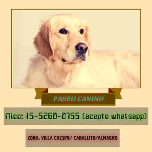 Paseo Canino, leer fotos !