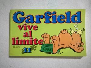 Historieta "Garfield vive al límite" n°11, Jim Davis