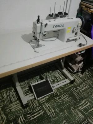 Máquina de coser recta typical