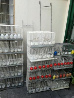 Vendo jaulas de cría 47 completas con nido