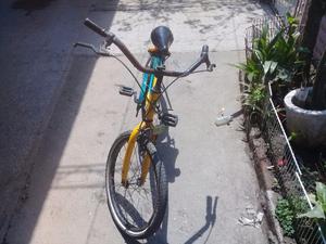 Bicicleta playera niño rodado 20