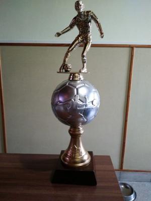 trofeo de fútbol goleador o mejor jugador de 45 cm de alto