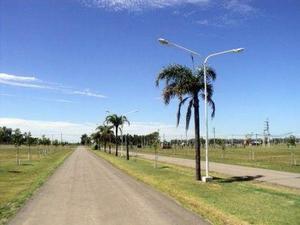 Punta Chacra- Barrio abierto- escriturados