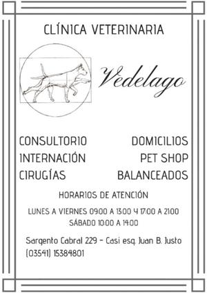 Veterinaria Vedelago.