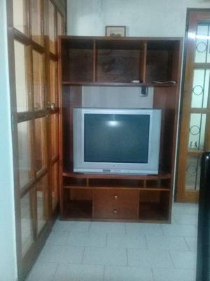 VENDO TV. 29 PULGADAS CON MUEBLE DE TV RACK