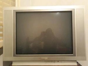 Vendo Televisor 29