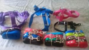 COLLARES CORREAS Y PRETALES