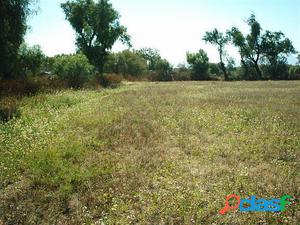 Campo en Ezeiza, Canning