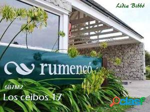 LOTE en RUMENCÓ