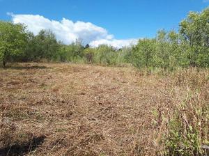 3 lotes 3 en Molinari, Cosquín, derechos posesorios, 1000