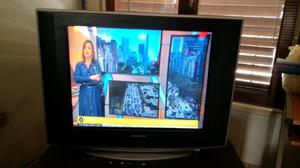 Televisor de 29 Pulgadas Samsung Excelente estado