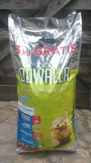 Alimento balanceado ODWALLA para perros adultos 22 3 kg de