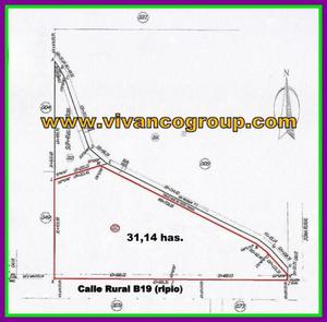Chacra 31 has. - Sector Noreste - Localidad de Cipolletti -