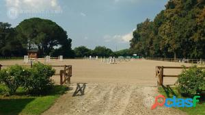 Espectacular Campo -Haras - Caballerizas - Loma Verde -