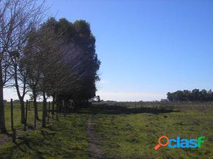 TERRENO EN VILLA ADRIANA CAÑUELAS