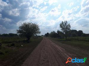 Terreno 3 hectareas en Ibarlucea a 2 km del pueblo, frente