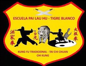Clases de kung fu tradicional y tal chi chuan -chi kung