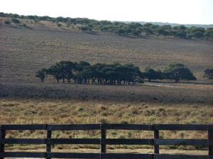 vendo campo en la pampa