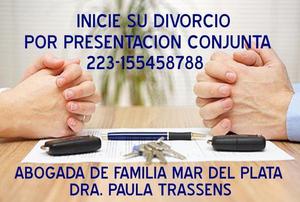 ASESORAMIENTO LEGAL PARA DIVORCIOS 155458788