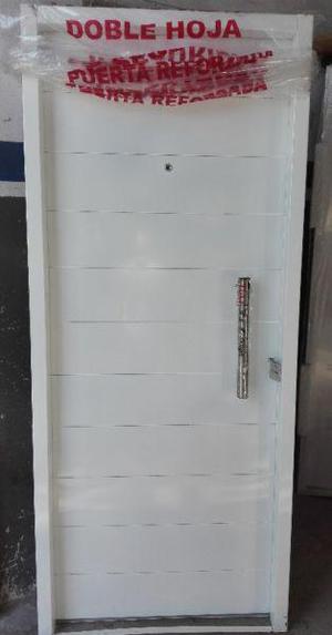 Puerta de Seguridad Inyectada con Barral 40 cm.