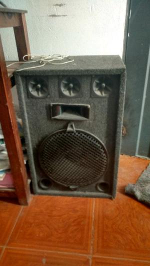 Vendo Parlante de 12" marca leea.