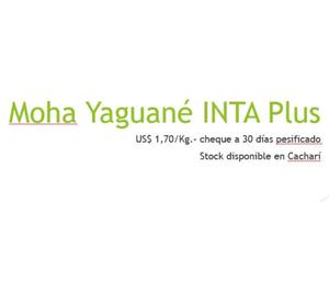 Vendo Semilla de Moha Yaguané INTA PLUS - x u$s1,70KG cert