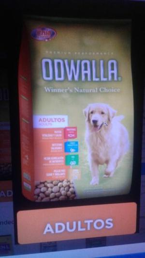 ALIMENTO BALANCEADO ODWALLA PERROS ADULTOS X 22KG SERVICIO