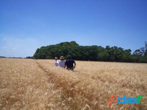 Campo Agrícola/Turístico, 74 hectáreas, a 80 metros del