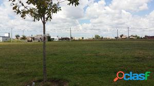 LOTES EN VENTA PUNTA CHACRA ROLDAN 522m2