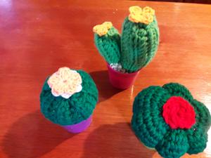Cactus tejido souvenirs
