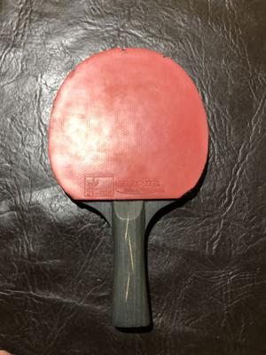 Paleta de Ping Pong profesional