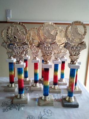 trofeos de patín y varios deportes