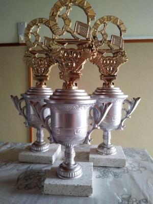 trofeos y copas de handball y varios deportes