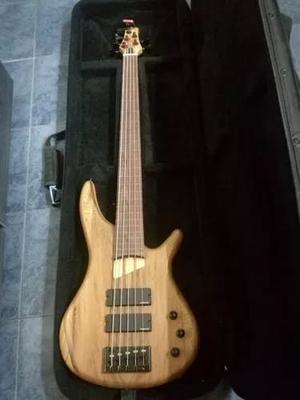 "BAJO DANIELS 5 CUERDAS FRETLESS"