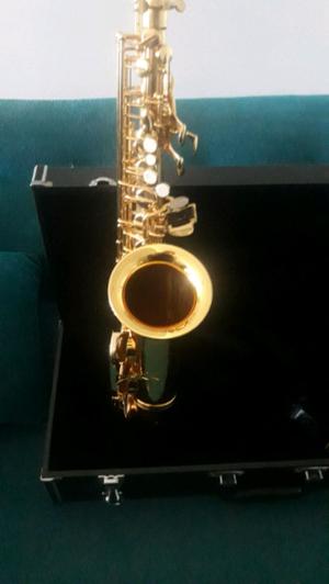 Saxo Largo Kinstar