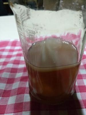 kombucha hongo scoby más té iniciador