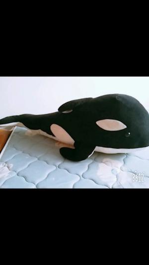 Orca gigante peluche