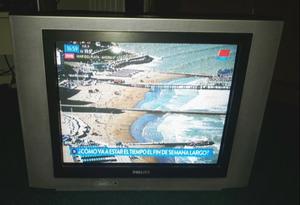 Tv Philips 21 Pulgadas Modelo 21pt  Pantalla Plana