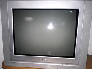 Vendo TV 21 pulgadas