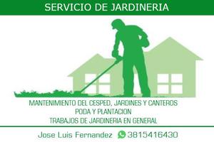 servicio de jardineria en general