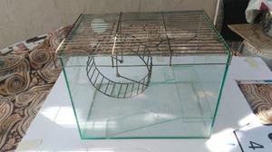 Pecera para hamster, topo Ruso (30x21x22) cm $300