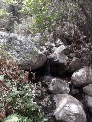 campo en aimogasta la rioja urgente vendo