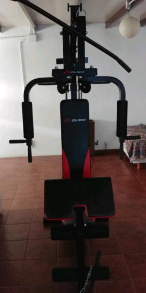 Multigimnasio olmo nuevo