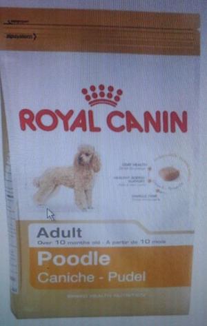 ROYAL CANIN POODLE 30 ADULT X 7.5KG ENVIOS A DOMICILIO SIN