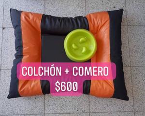 COLCHÓN + COMEDERO REGU DIET.