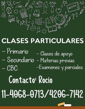 Clases particulares individuales nivel Primario, Secundario,