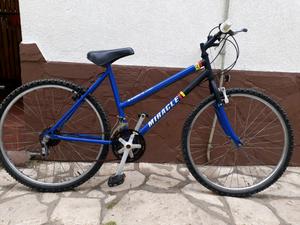 Bicicleta rodado 26