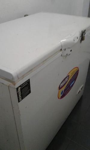 Freezer Inelro Zona centro