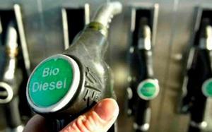 Biodiesel B 100