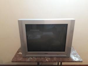 TELEVISOR RANSER 29" PANTALLA PLANA